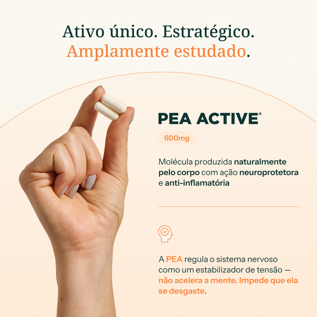 NeuroSync — Neuroproteção e Longevidade Cerebral