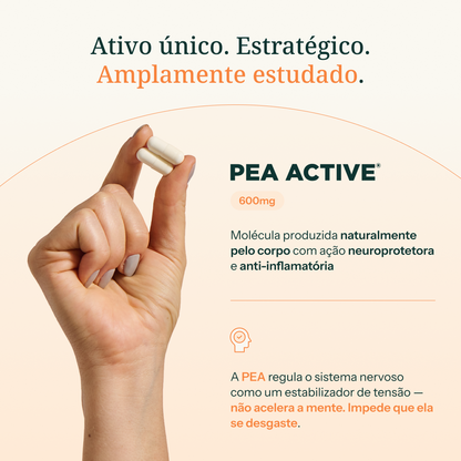 NeuroSync — Neuroproteção e Longevidade Cerebral