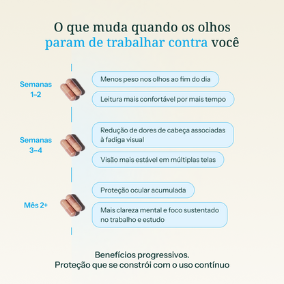 Ctrl Zoom — Preservação Ocular e Conforto Visual